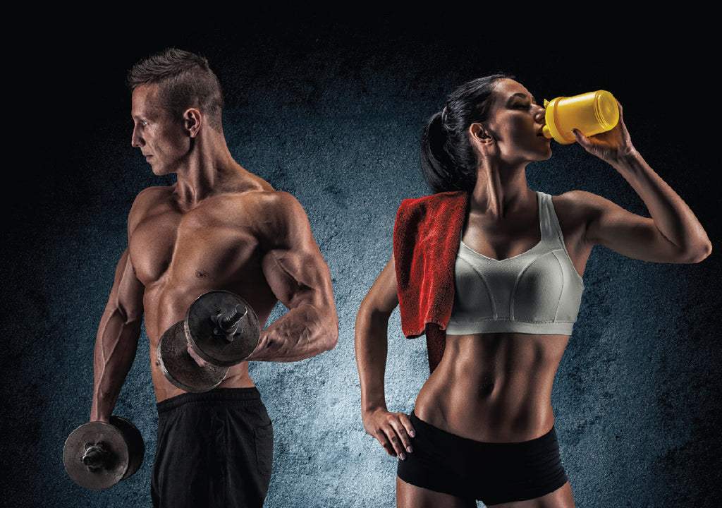 SCULPT YOUR BODY WITH PROTEIN NUTRITION